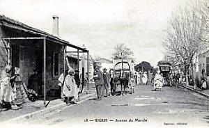 2876- Sigus - Avenue du Marche